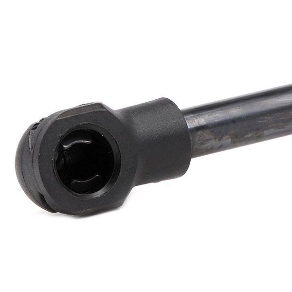 Gas Spring, boot/cargo area