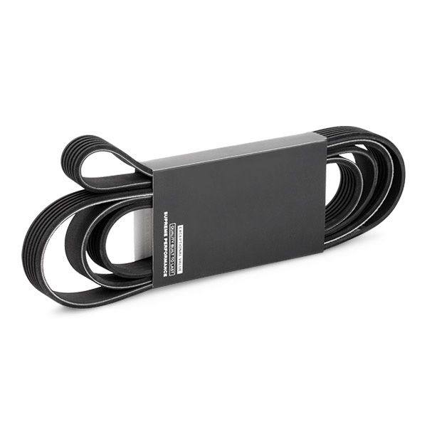 V-ribbed Belt
