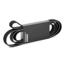 V-ribbed Belt