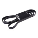 V-ribbed Belt