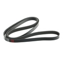 V-ribbed Belt