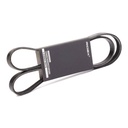 V-ribbed Belt