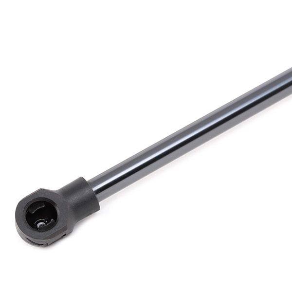 Gas Spring, boot/cargo area