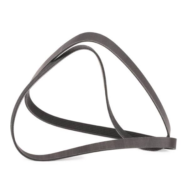 V-ribbed Belt