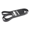 V-ribbed Belt
