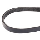 V-ribbed Belt