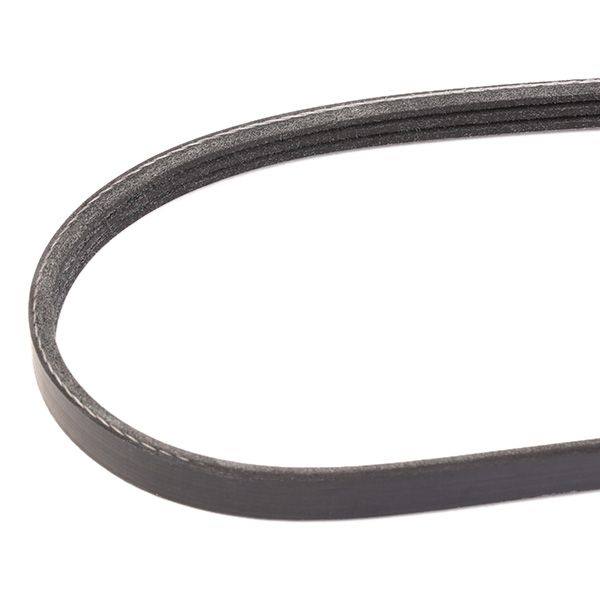 V-ribbed Belt