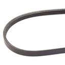 V-ribbed Belt