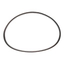 Timing Belt
