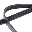Water Pump + V-ribbed Belt Kit