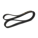 V-ribbed Belt