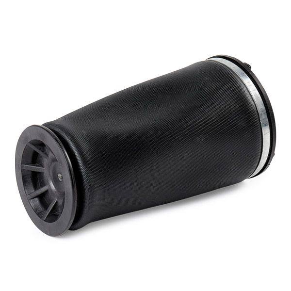 Air Spring, suspension