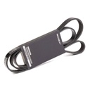 V-ribbed Belt