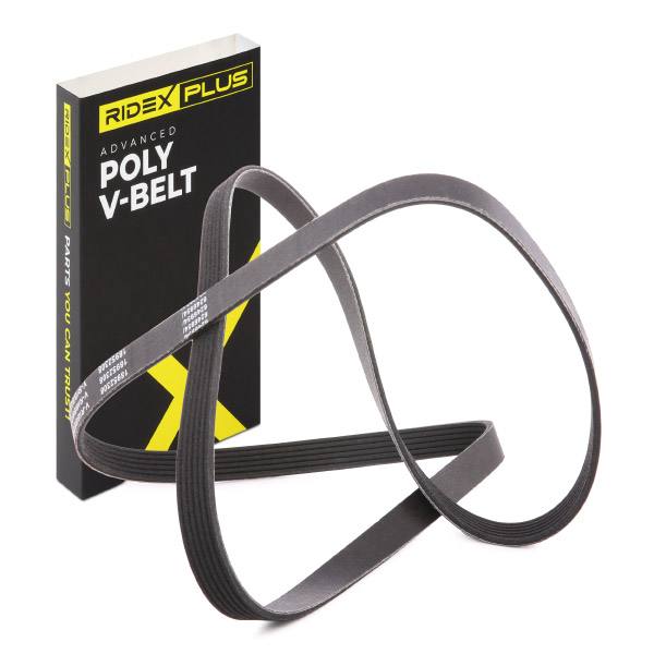 V-ribbed Belt