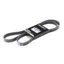 V-ribbed Belt
