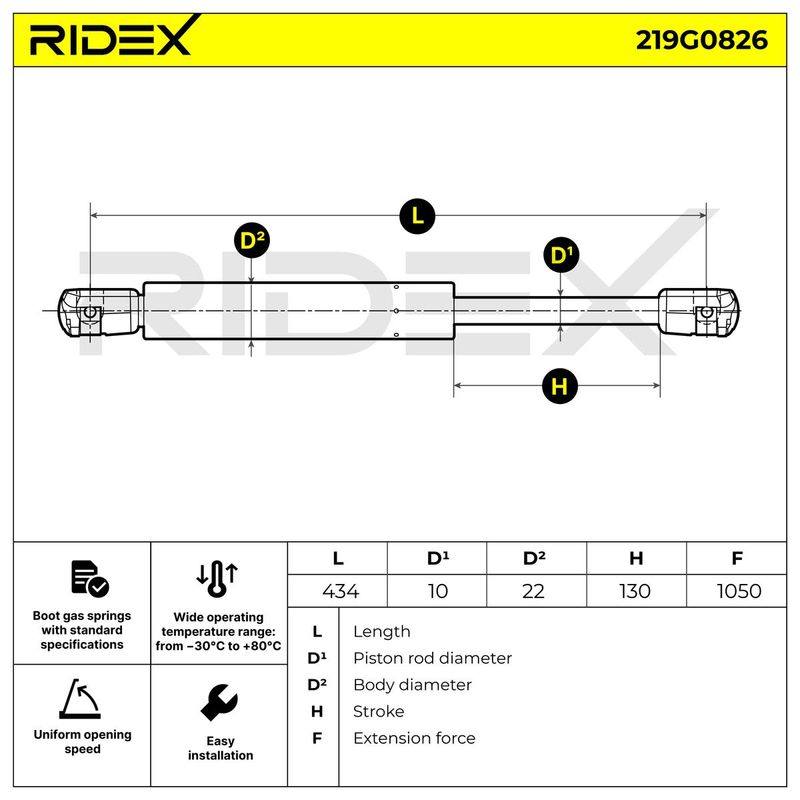 Gas Spring, boot/cargo area