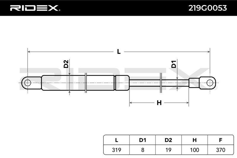 Gas Spring, boot/cargo area