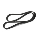V-ribbed Belt