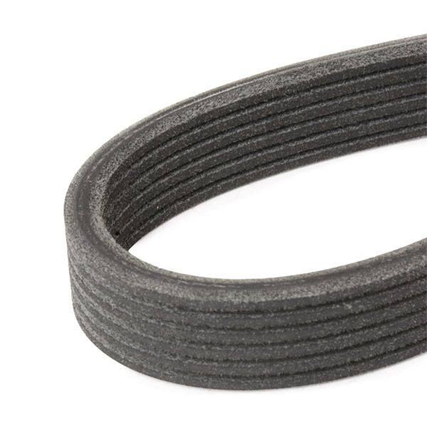 V-ribbed Belt