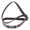 V-ribbed Belt
