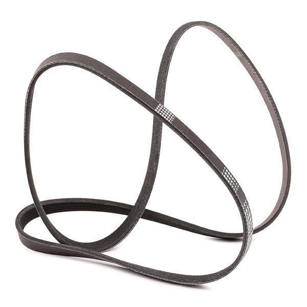 V-ribbed Belt