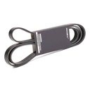 V-ribbed Belt