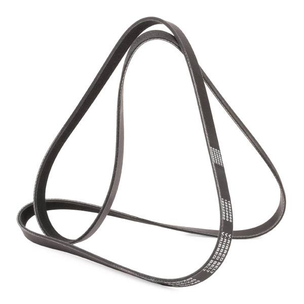 V-ribbed Belt