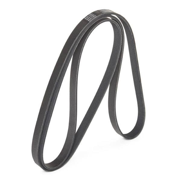 V-ribbed Belt