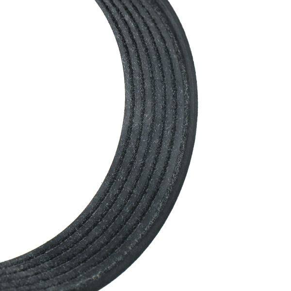 V-ribbed Belt