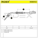 Sensor, exhaust gas temperature