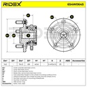 Wheel Bearing Kit