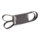 V-ribbed Belt
