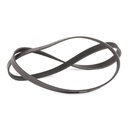 V-ribbed Belt