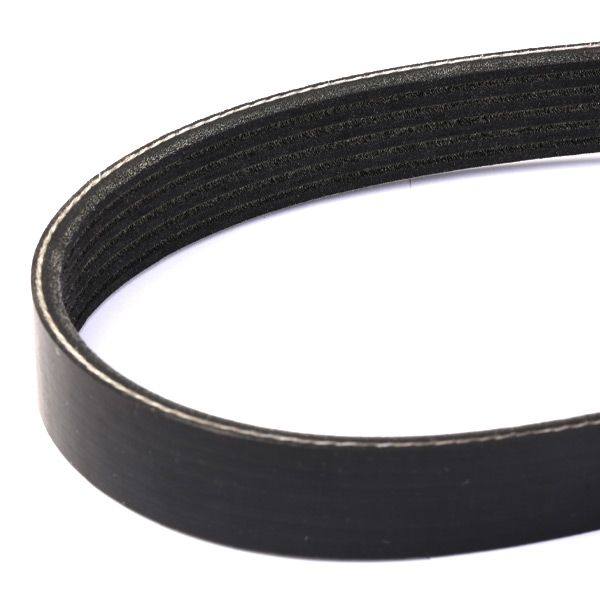 V-ribbed Belt