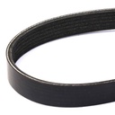 V-ribbed Belt