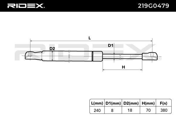 Gas Spring, boot/cargo area