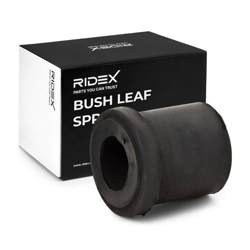 Bushing, leaf spring