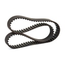 Timing Belt