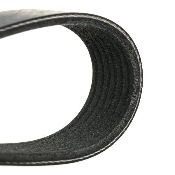 V-ribbed Belt