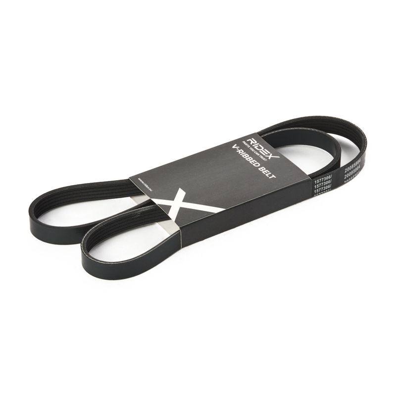 V-ribbed Belt