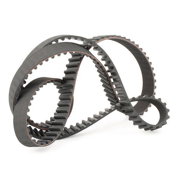 Timing Belt