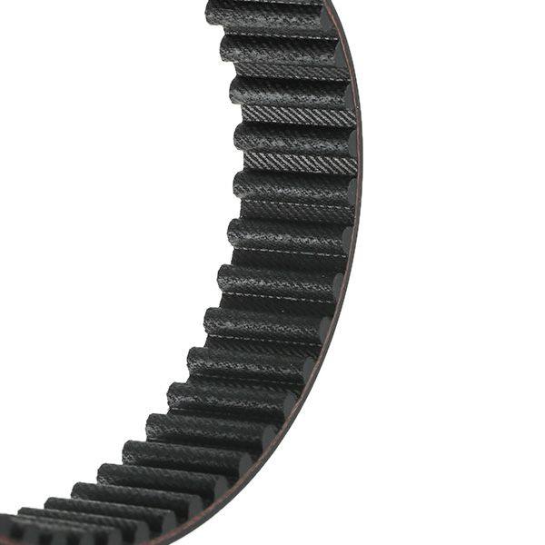 Timing Belt