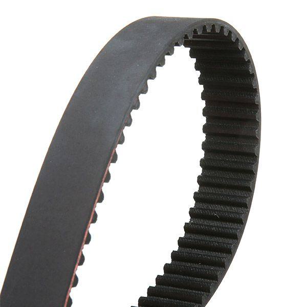 Timing Belt