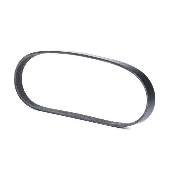 V-ribbed Belt