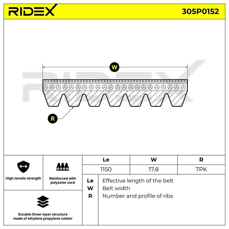 V-ribbed Belt