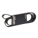 V-ribbed Belt