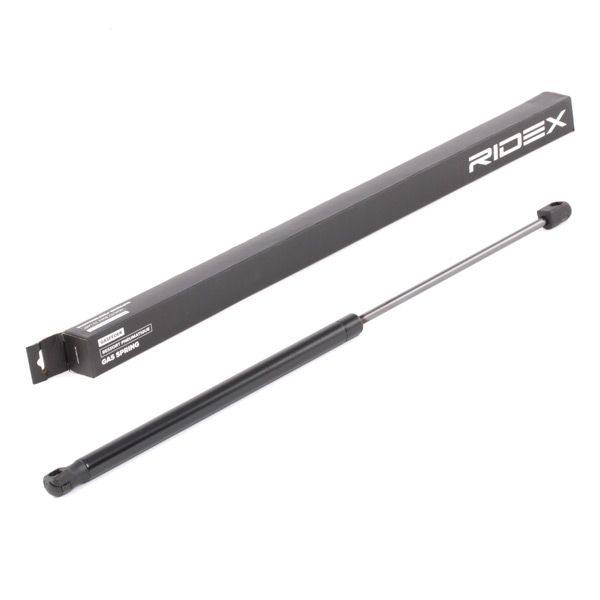 Gas Spring, boot/cargo area