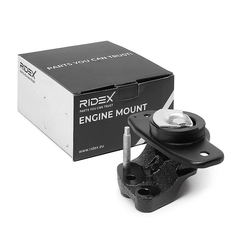 Mounting, engine