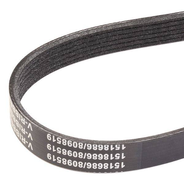 V-ribbed Belt