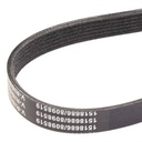 V-ribbed Belt